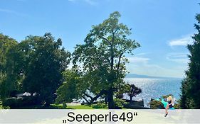 Villa Schwanenblick - eine besonderes Feriendomizil mit direktem Seezugang und Slipanlage